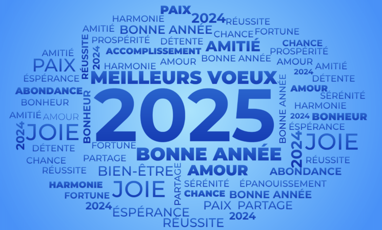 Joyeuse année 2025