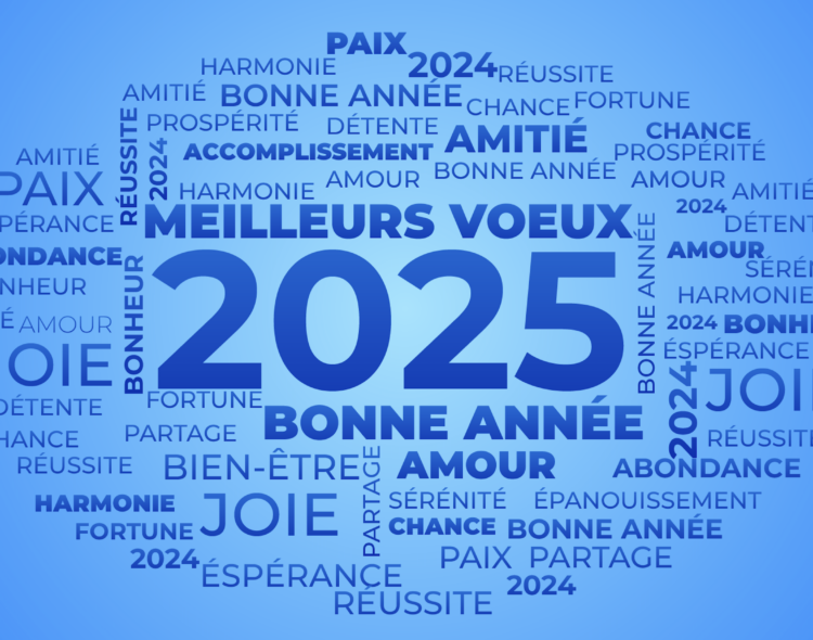 Joyeuse année 2025